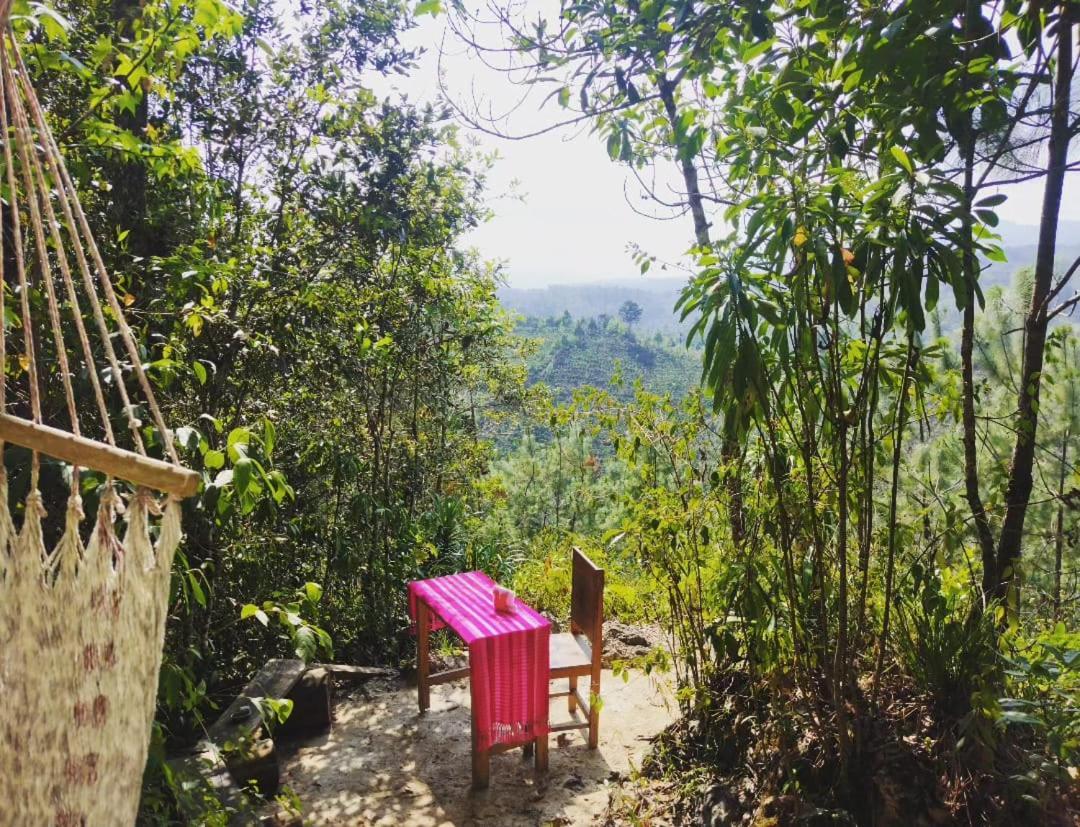 Paraiso Verde Chijou Luaran gambar