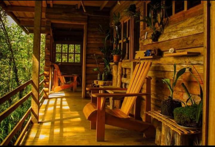 Paraiso Verde Chijou Luaran gambar