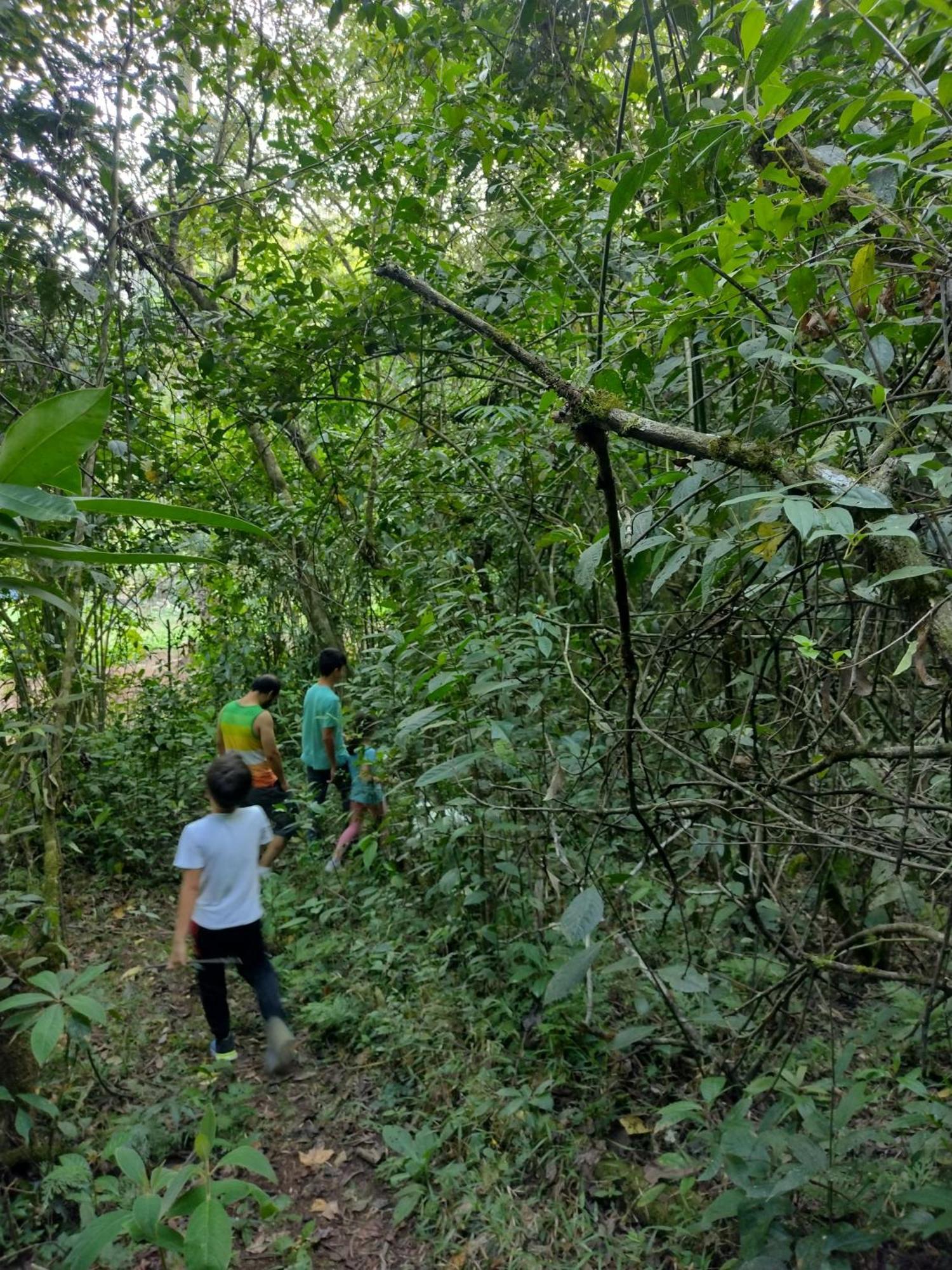 Paraiso Verde Chijou Luaran gambar