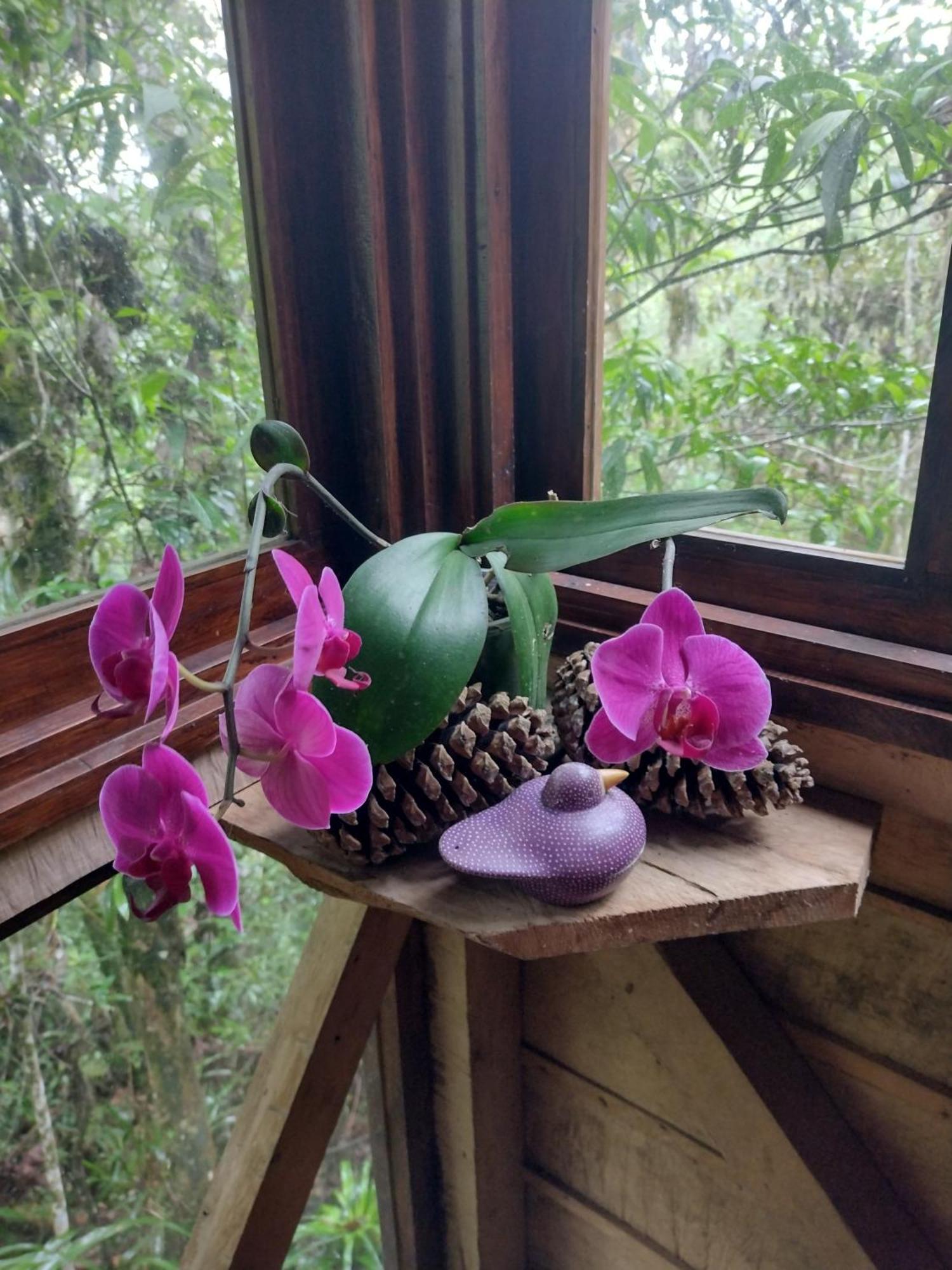 Paraiso Verde Chijou Luaran gambar