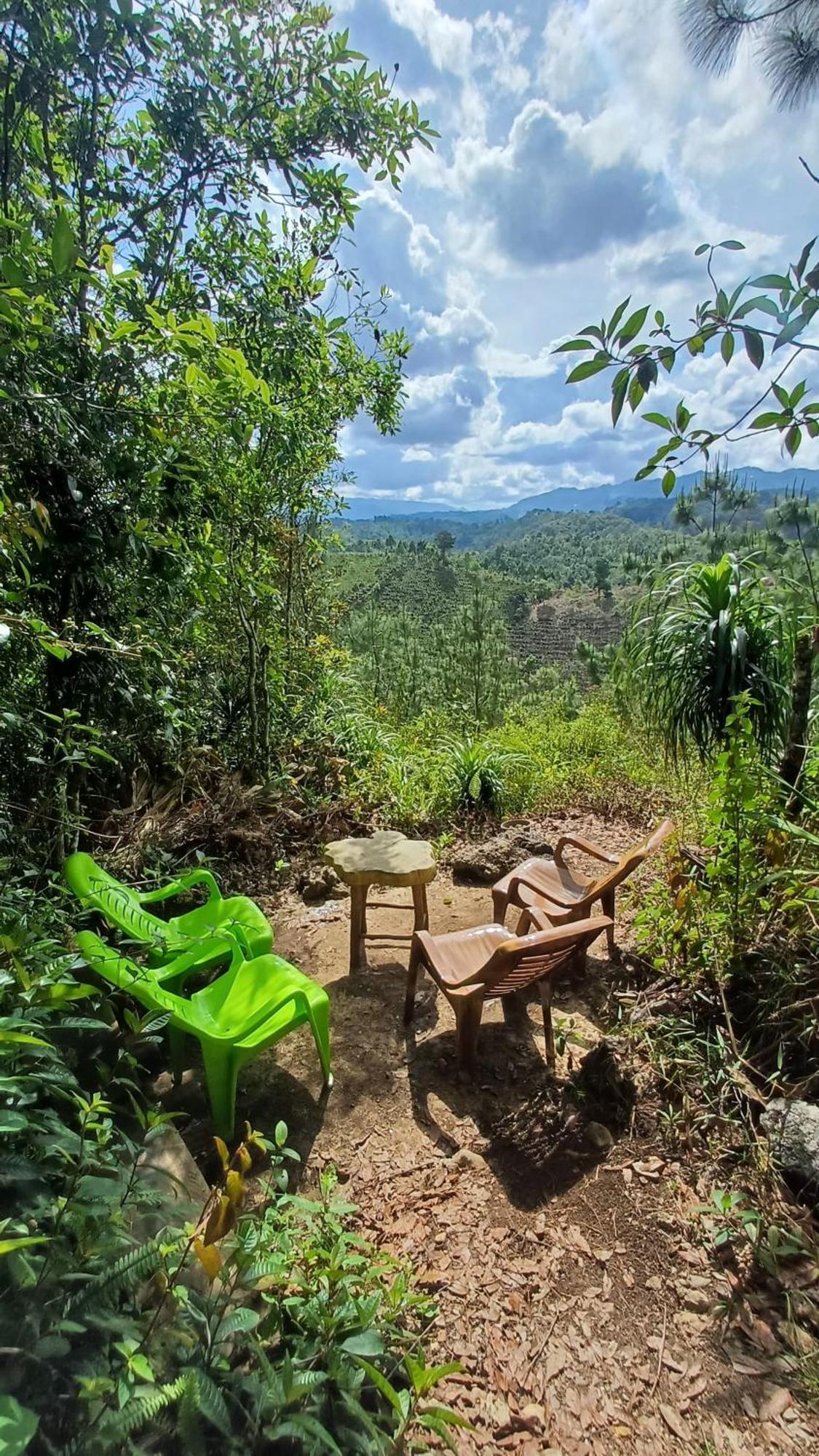Paraiso Verde Chijou Luaran gambar