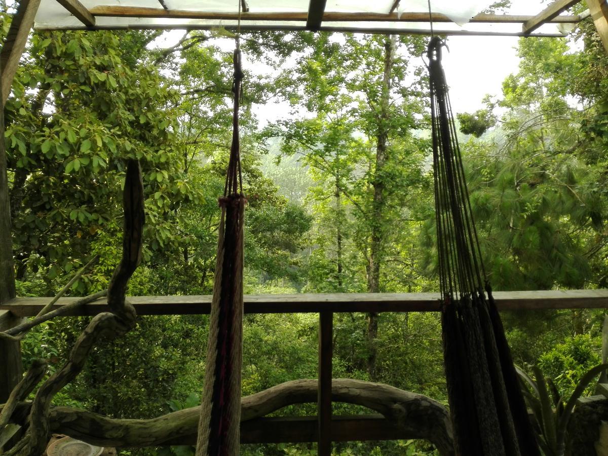 Paraiso Verde Chijou Luaran gambar