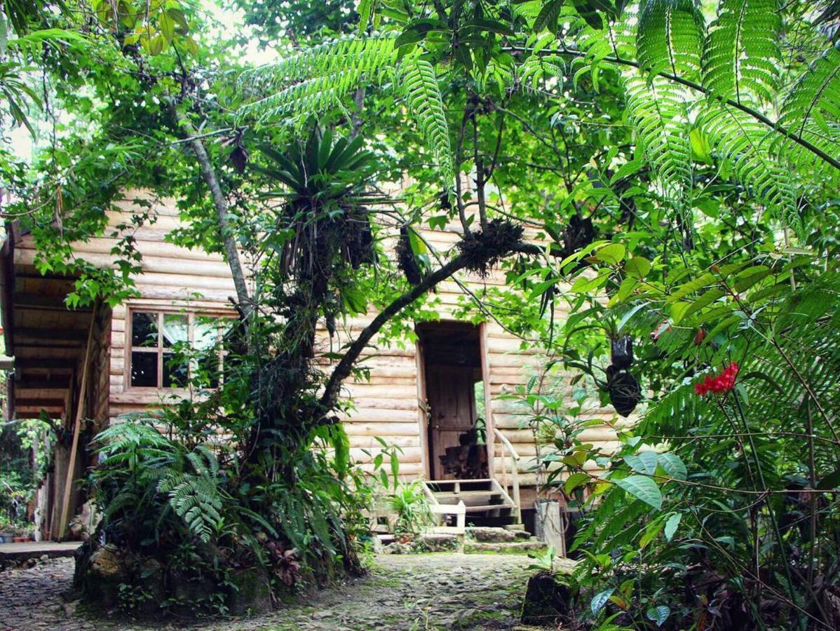 Paraiso Verde Chijou Luaran gambar