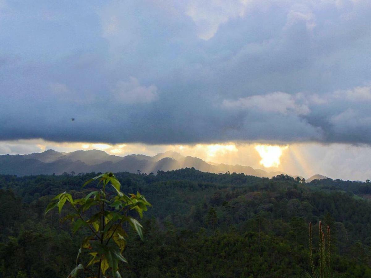 Paraiso Verde Chijou Luaran gambar